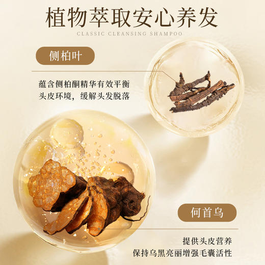 自营（菲小主）- 养发防断 强韧顺滑 经典养发洗发水500ml 商品图1