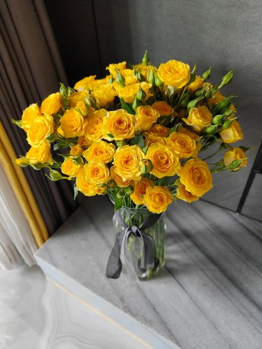 同城甄选精品花材多头玫瑰梦幻芭比10支 商品图4