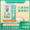 【定丰农场】稻花香2号沙漠大米 10kg/袋 商品缩略图0