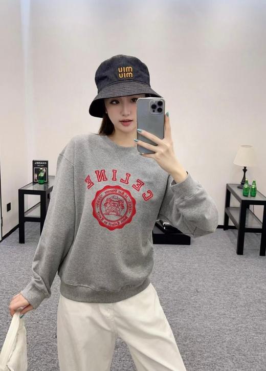 C家 凯旋门植绒印花卫衣（DY） 商品图1