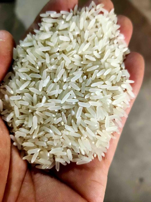 乡里米，1袋10斤，不抛光，不打蜡，现在打米 商品图1