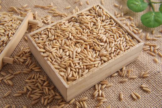 YERMES
野生燕麦米
500克 商品图1