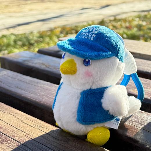 一份心意：“小赞鸽”毛绒挂件 商品图2