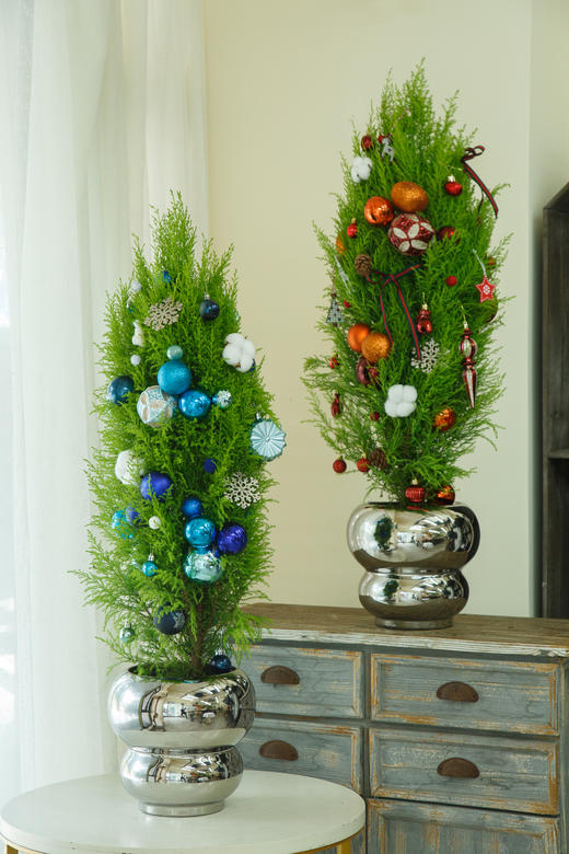 氛围感香松1.1m（颜色随机） 商品图0