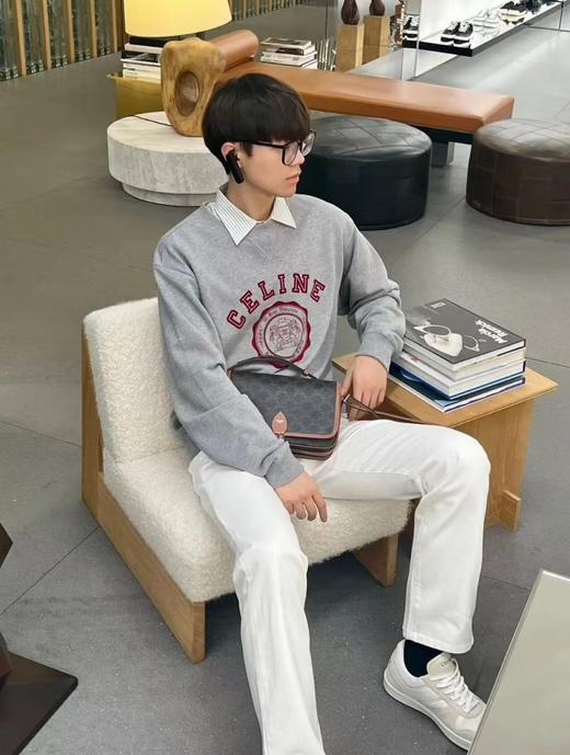 C家 凯旋门植绒印花卫衣（DY） 商品图7