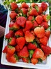 【限时福利59.99元/箱】【鸿翠园有机草莓】 商品缩略图13
