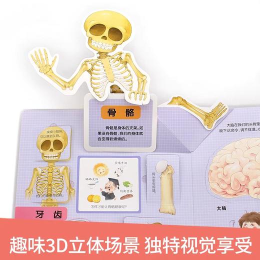 揭秘我的身体探索世界系列科普翻翻书3d立体书儿童绘本故事书3-6-7-8-9-10岁以上书籍科普小学生百科全书机关绘本早教启蒙认知 商品图3