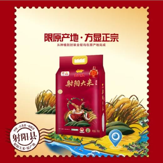 金龙鱼 射阳大米5kg 商品图2