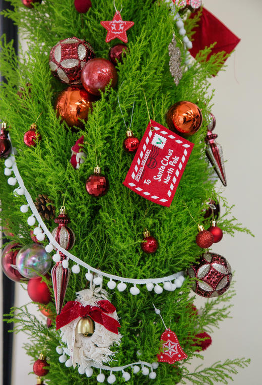 氛围感香松1.5M 商品图4