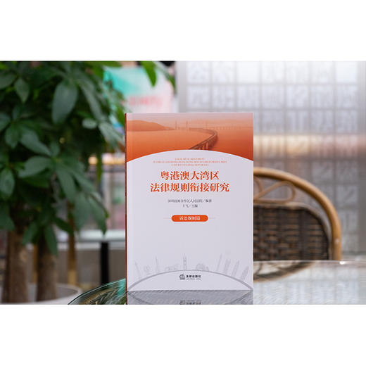 粤港澳大湾区法律规则衔接研究：诉讼规则篇 深圳前海合作区人民法院编著 卞飞主编 法律出版社 商品图3