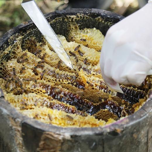 通江县深山良品百花蜜 商品图2