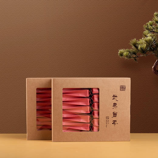 2025年武夷正岩北斗 商品图3