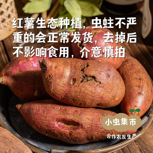 生态鸡蛋黄红薯 5斤 | 合作农友生产，产自成都，生产者：马志勇夫妇 *【公平贸易农人定价】 商品图2