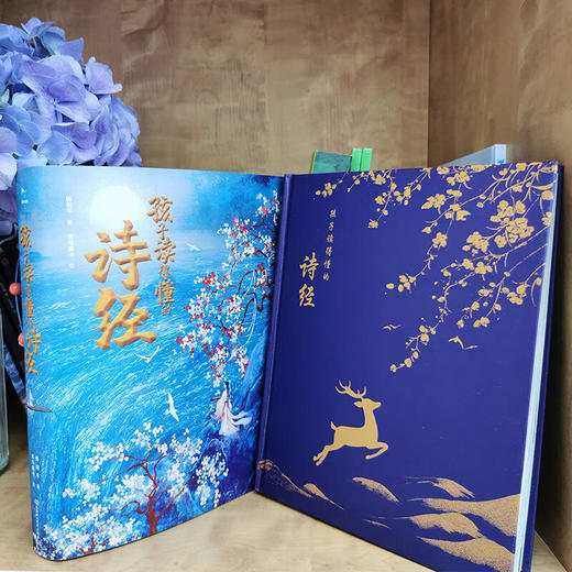 孩子读得懂的诗经一诗一画一故事《诗经》又美又好懂 这才是真正的大语文！ 商品图2