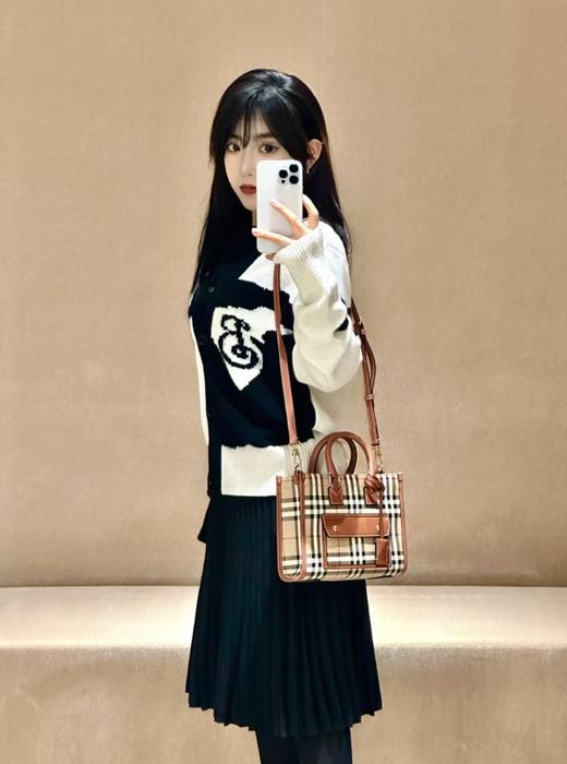 巴家 新迷你棕色格纹 芙蕾雅托特包（UB*CB） 商品图4