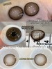 【春节不打烊】【新品实拍】Deekay-G336-G345 - 14.5mm【半年抛 0-1000度 含525/575 】 商品缩略图4