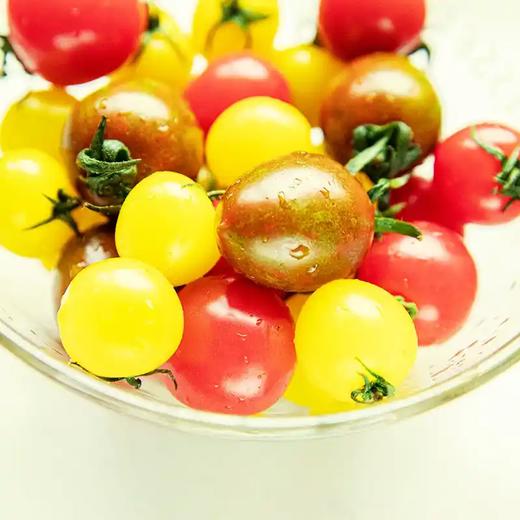 三色千禧小番茄 商品图0