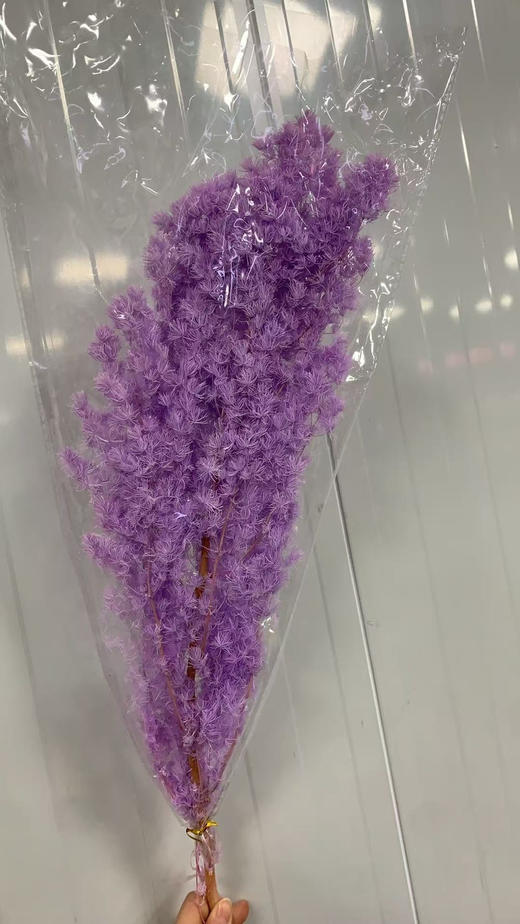 永生松 商品图1