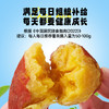 鲜蒸烤薯/350g 商品缩略图4