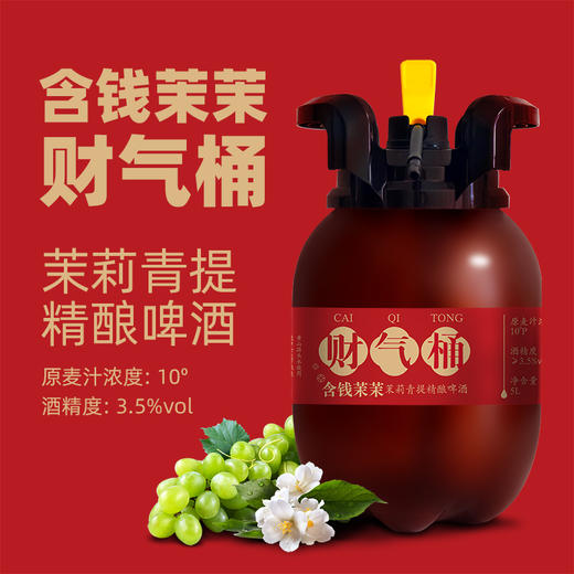 精酿啤酒 | 足足发酵30天，酒体饱满，一口绵柔！ 商品图1