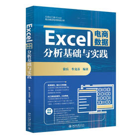 Excel电商数据分析基础与实践 徐兵 牟克芬 编著 北京大学出版社