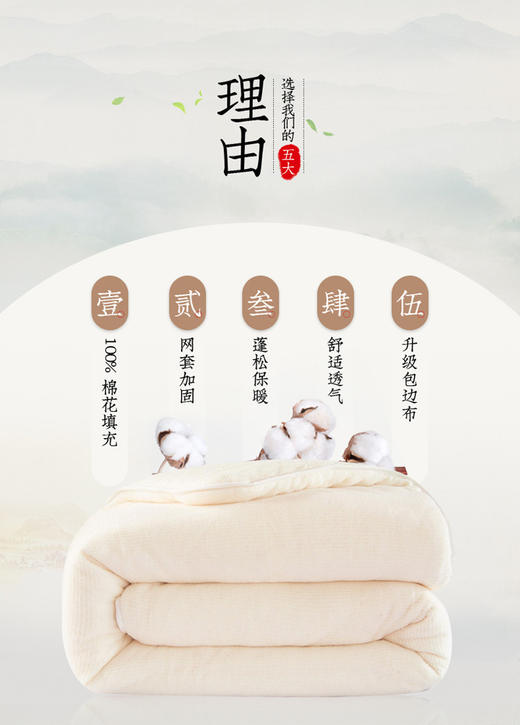 新疆棉花被加包被6斤 商品图1