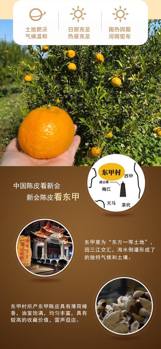 东甲粮仓 新会陈皮（10年陈）（领秀店） 商品图6