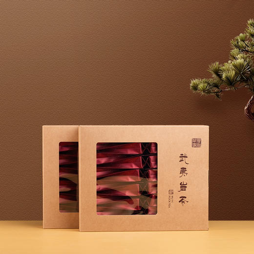 2023年武夷正岩老树梅占 商品图3