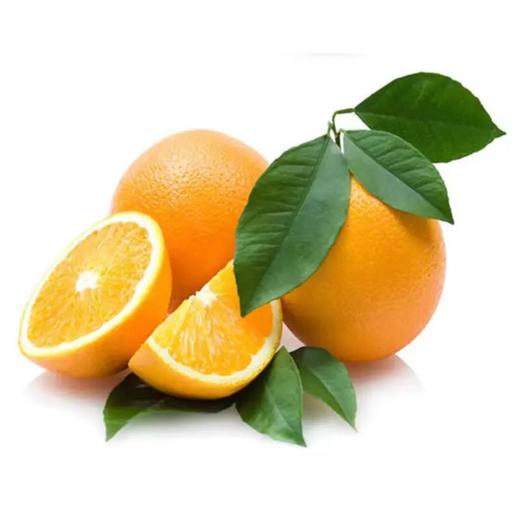脐橙 商品图0