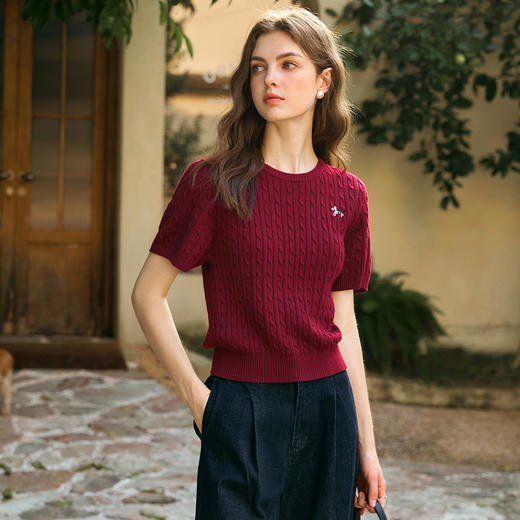 OLrain欧芮儿法式短袖T恤女冬季2024年新款通勤圆领针织套头衫 商品图1