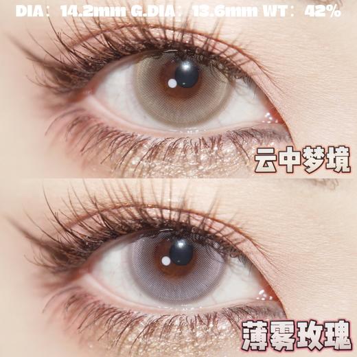 yukicon日抛 薄雾玫瑰 粉/云中梦境 棕/圆崽崽棕/圆崽崽蓝 14.2mm 日抛无售后！！非离子 商品图1