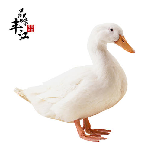 【每日鲜】老身大白鸭 约7斤 仅发广东省内（京东） 商品图0
