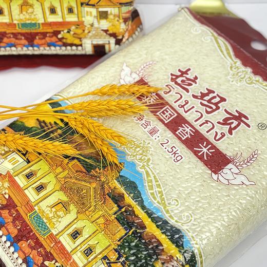 疯抢中！！【泰国进口拉玛贡香米】2024年11月到货新米 长粒饱满 口感软糯劲道好吃 商品图11