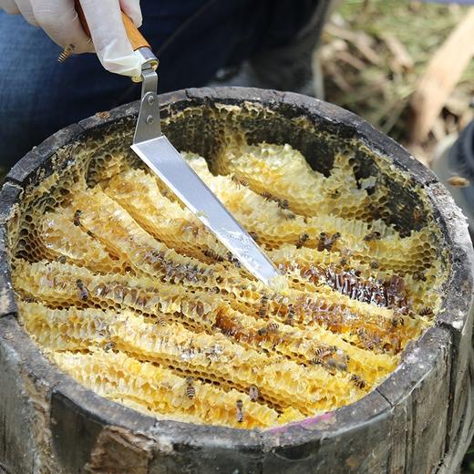 通江县深山良品百花蜜 商品图3