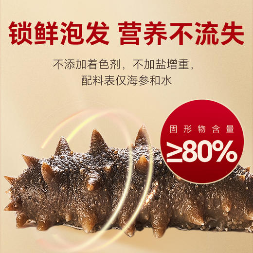 船歌鲜食即食海参礼盒 商品图4