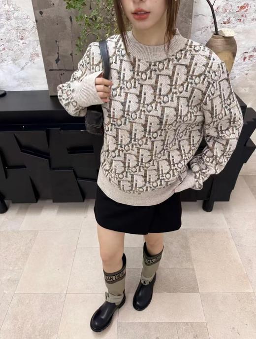 D家 满幅大字母圆领毛衣（DY） 商品图3