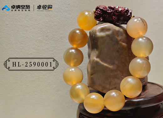 HL-2590001 商品图0