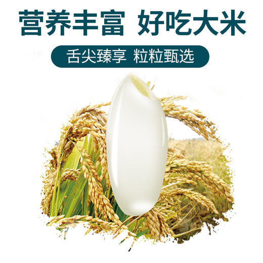 【定丰农场】珍珠香沙漠大米 5kg/袋 商品图4