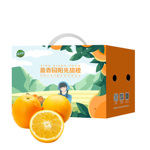 赣南纽荷尔脐橙礼盒装特级 商品图0