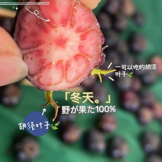 【红果参】果实饱满 新鲜圆润 酸甜美味 果肉细腻 美味爽口 果实色泽紫黑色 4种规格任选 商品图6