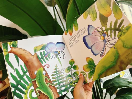 《小昆虫大智慧》大开本绘本（全8册） 商品图3