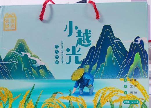小越光米【新米】10斤/箱 商品图2