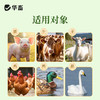 华畜兽用驱虫打虫猪牛羊鸡鸭鹅液体驱虫体内外同驱健胃增食克虫净 商品缩略图5
