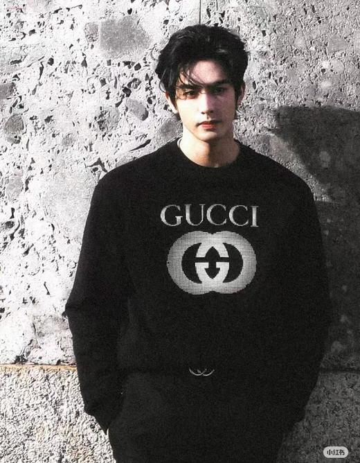 G家 logo印花圆领卫衣（DY） 商品图2