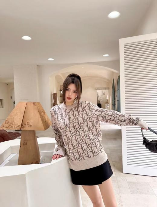 D家 满幅大字母圆领毛衣（DY） 商品图4