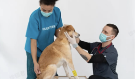  宠物量首超婴幼两倍，宠物中医药百亿版图扩张在即！中医行业新机遇来袭？ 