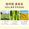 【定丰农场】珍珠香沙漠大米 5kg/袋 商品缩略图2