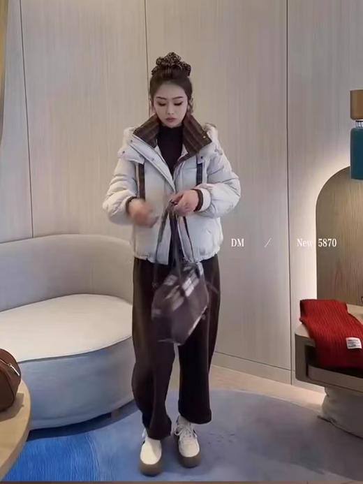 大麦 5870 商品图0