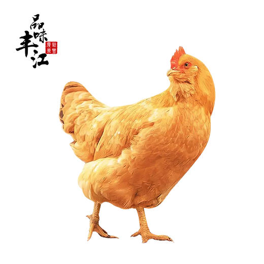 【每日鲜】新丰生态放养走地鸡 约3.5斤 仅发广东省内（京东） 商品图0