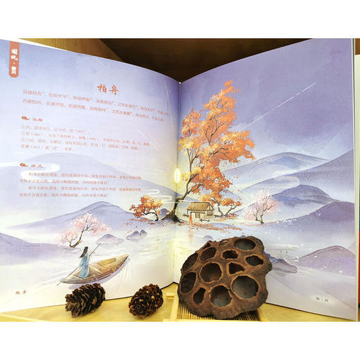 孩子读得懂的诗经一诗一画一故事《诗经》又美又好懂 这才是真正的大语文！ 商品图4